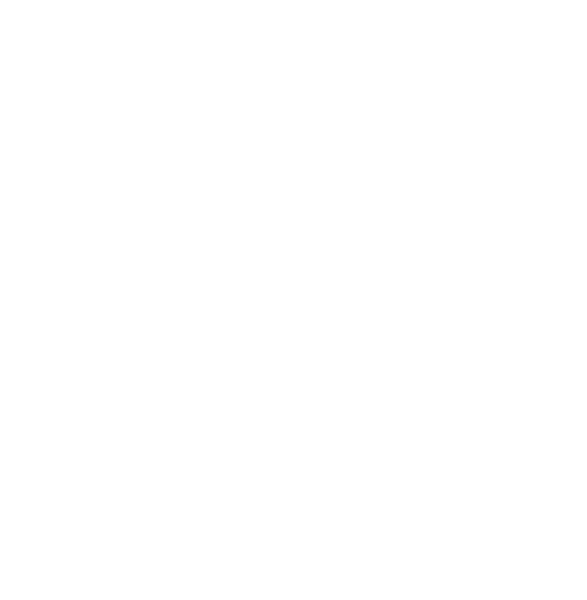 Logotipo NST Print